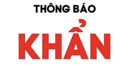 Thông báo khẩn
