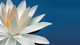 Gương sáng học tập suốt đời