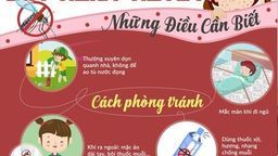 Cách phát hiện sớm và phòng ngừa sốt xuất huyết