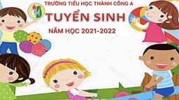 Trường Tiểu học Thành Công A trong ngày đầu triển khai công tác tuyển sinh trực tuyến năm học 2021-2022