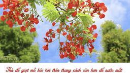 "Kỷ niệm mái trường"- dành tặng học sinh khối lớp 5