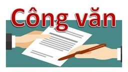 Công văn về việc thực hiện tổ chức hưởng ứng "Ngày Pháp luật nước Cộng hoà XHCN Việt Nam" trong ngành Giáo dục và Đào tạo năm 2021