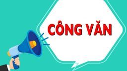 Ứng phó với bão số 8 (Kompasu) năm 2021