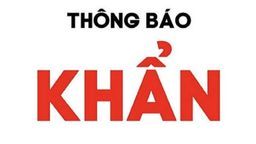 Thông báo khẩn