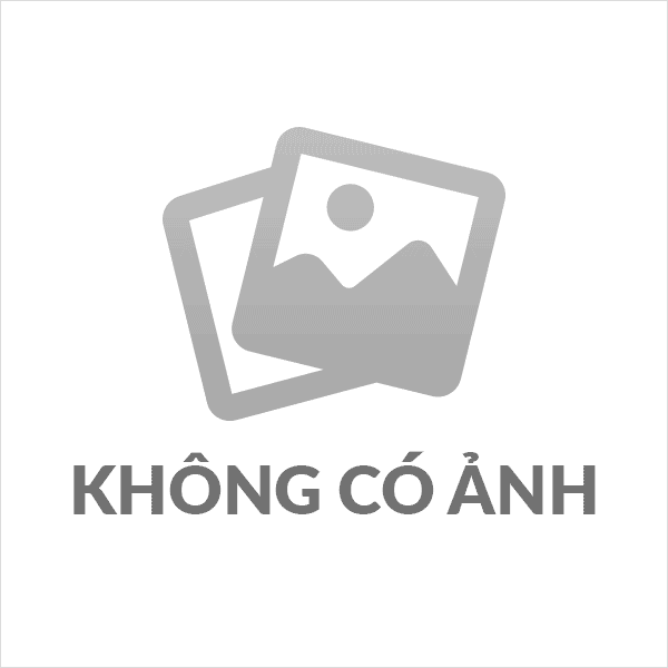 Ý tưởng STEAM tạo ra sản phẩm nghệ thuật từ lá cây
