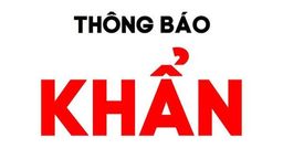 Thông báo