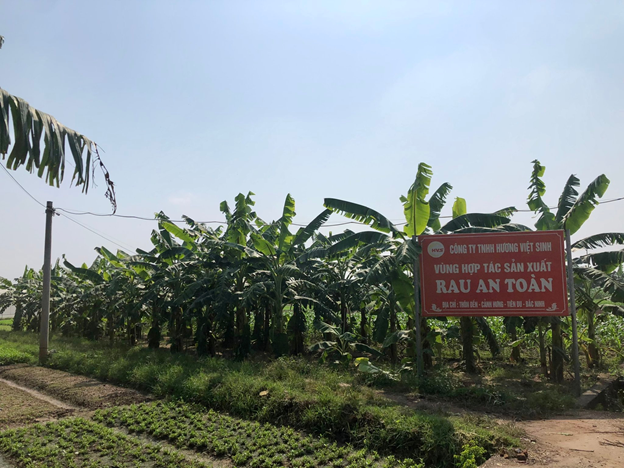 Chuyến tham quan cơ sở chế biến suất ăn học đường tại công ty Hương Việt Sinh của Ban giám hiệu, đại diện CMHS các lớp trường TH Thành Công A