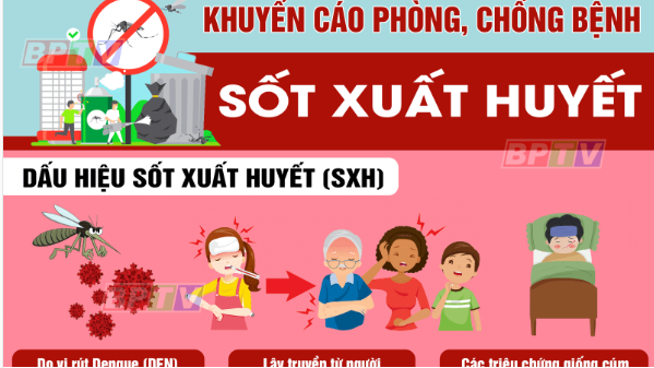 6 điều nên làm để phòng bệnh sốt xuất huyết