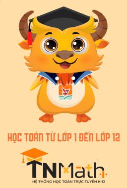 Thành Công A khởi tranh Sân chơi Toán học Việt Nam (VNMF)