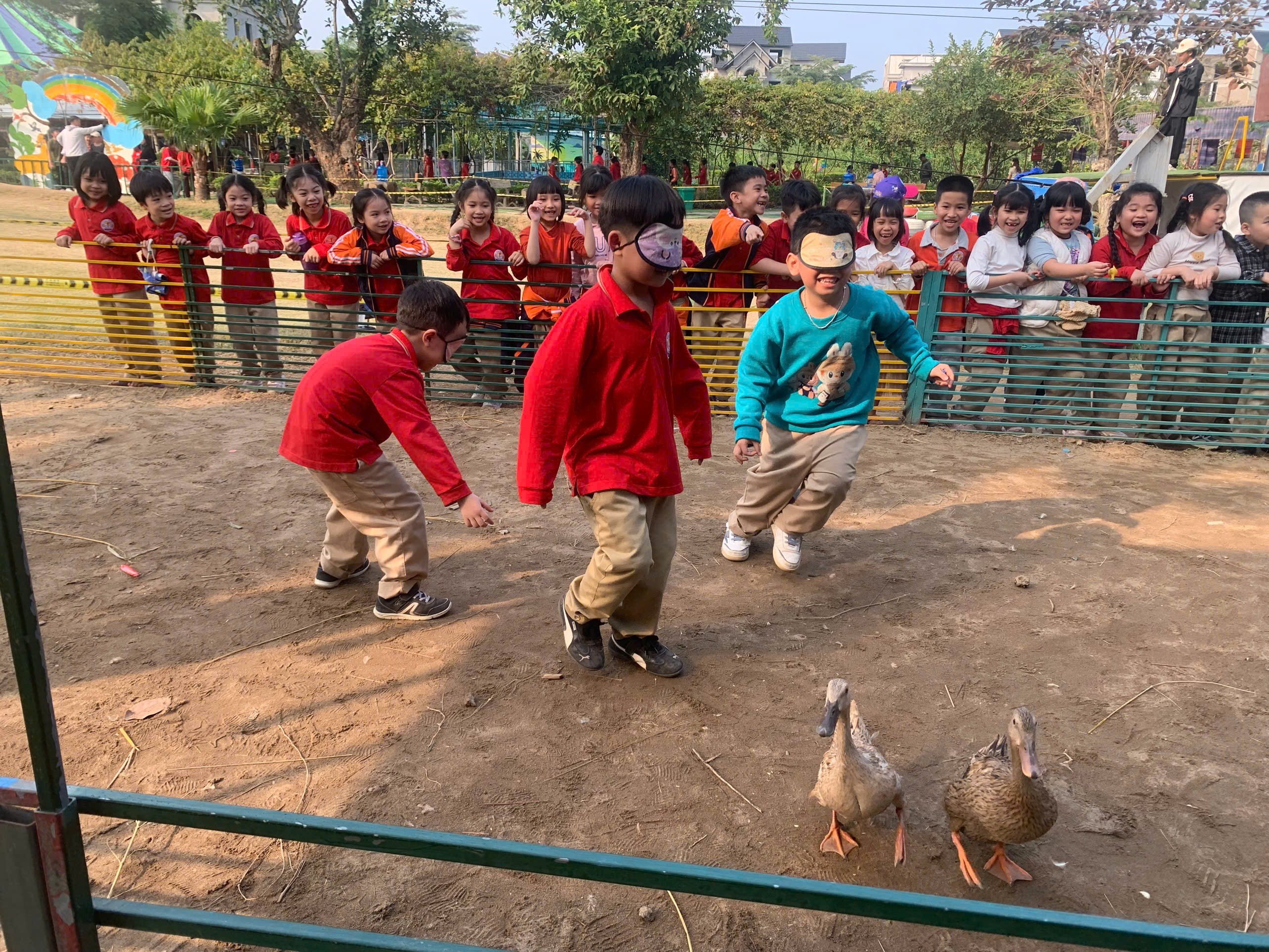 A group of children in a field with ducks
AI-generated content may be incorrect.